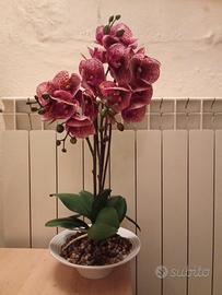 Orchidea artificiale in vaso