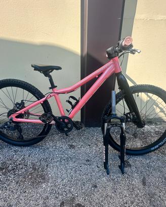 Scott scale 24 disc