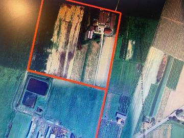 Immobile in asta di 5925 m² con 5 locali a Spilamb