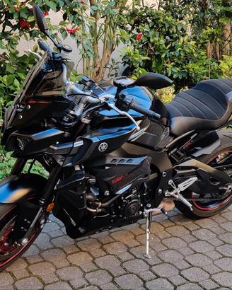 Yamaha MT-10 Touring 2017 (RN45)