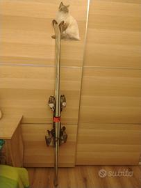sci Nordica beast 6 