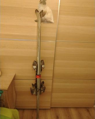 sci Nordica beast 6 