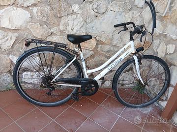 bici mountain bike