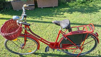 classica bici da donna