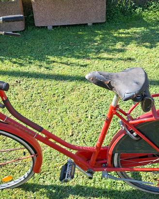 classica bici da donna