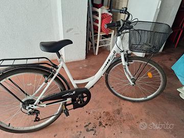 Biciclette da donna 