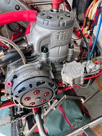 Go Kart 125 Tm kz R1 red edition
