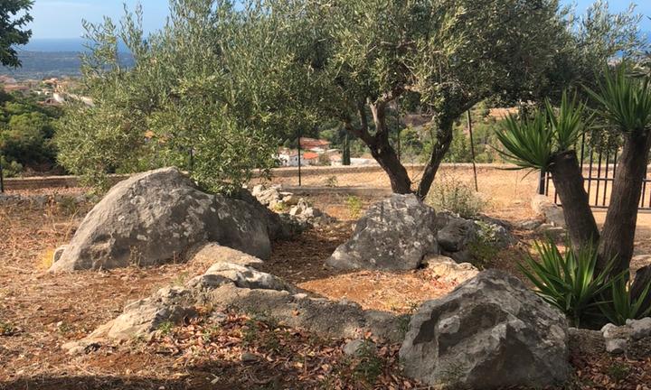 Terreno 2000mq Carini