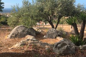 Terreno 2000mq Carini