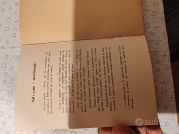 libro Maria Regina e Madre di Misericordia 