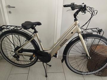 bicicletta elettrica 