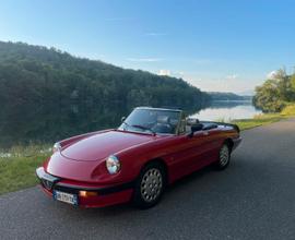 Alfa spider quadrifoglio verde