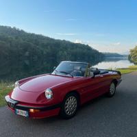 Alfa spider quadrifoglio verde