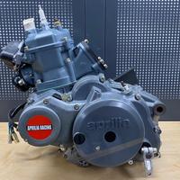 Motore revisionato Rotax 123 Aprilia 125