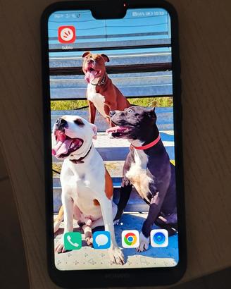 HUAWEI P20 LITE 
