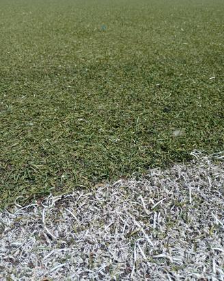 erba sintetica per campo di calcio _ usi diversi