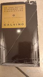 Se in una notte d'inverno un viaggiatore