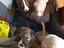 Immagine 5
