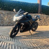 Kawasaki Ninja 300 - 2013