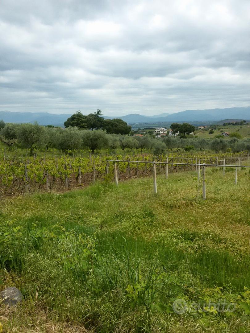 Terreno agricolo Vicolo dei Trugli Roma - Vista 3