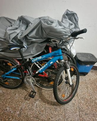 bicicletta