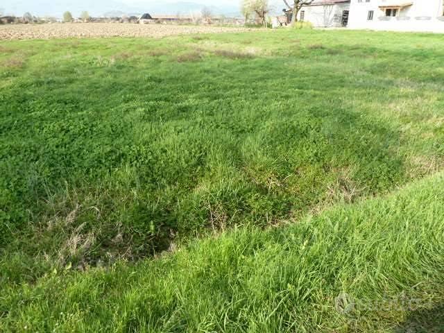 Terreno di 750 m² a Porcari - Vista 5