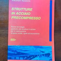 Strutture in acciaio precompresso  Nunziata