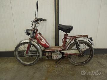 Motorino Stella Veneta Pachito