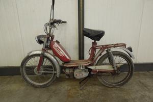 Motorino Stella Veneta Pachito