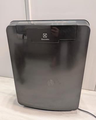 Purificatore Aria Electrolux EAP 450