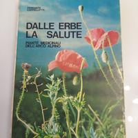 Dalle erbe la salute piante medicinali dell'arco a