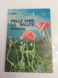 Dalle erbe la salute piante medicinali dell'arco a