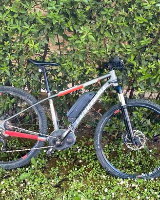 mountine bike elettrica
