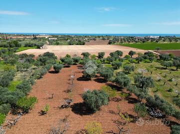TER. AGRICOLO A CONVERSANO