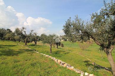 CASA DI CORTE A OSTUNI