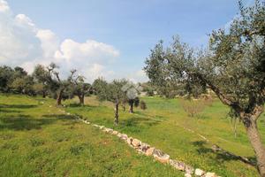 CASA DI CORTE A OSTUNI