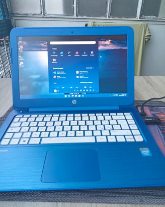 Ho steam win 11 più Office 