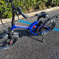 Bicicletta elettrica 