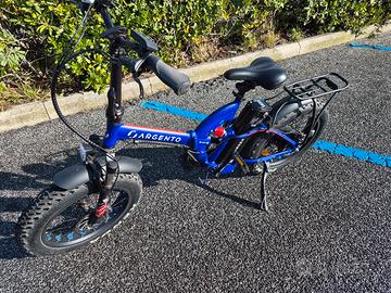Bicicletta elettrica 