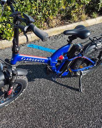 Bicicletta elettrica 