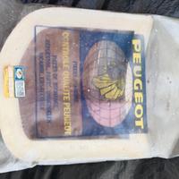 Peugeot 504 Luce posteriore