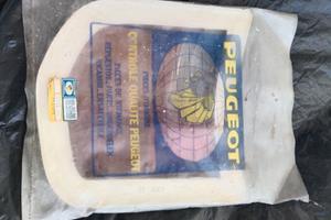 Peugeot 504 Luce posteriore