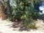 Immagine 26