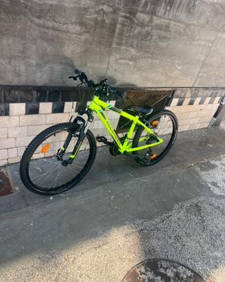 Mountain bike