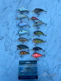 Bass fishing di tutto e di piu