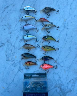 Bass fishing di tutto e di piu