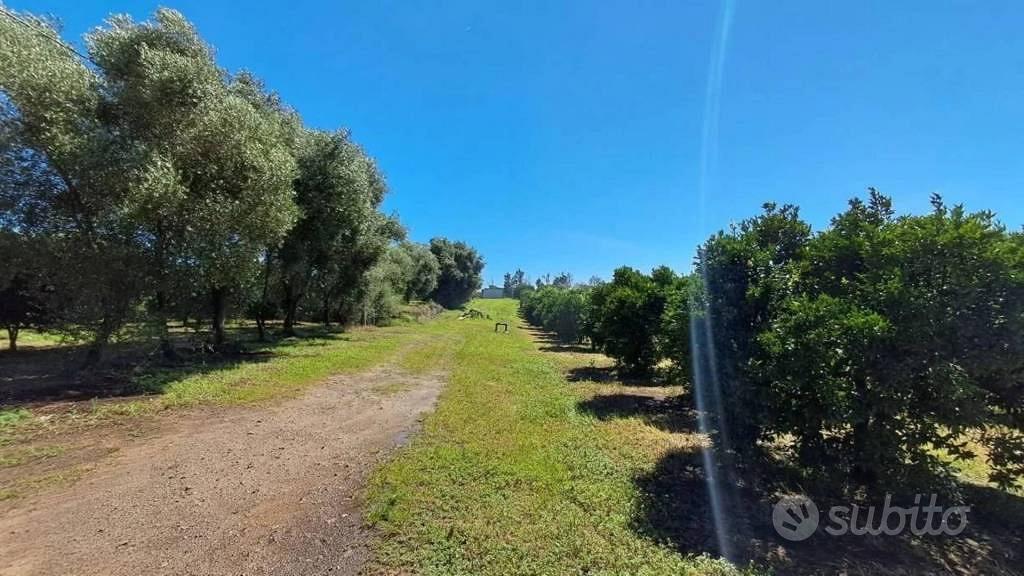 Immobile in asta di 3875 m² a Candidoni - Altro