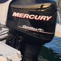 Optimax 225 Mercury