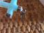 Immagine 3