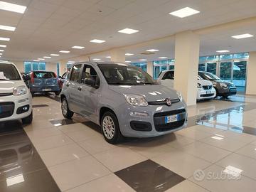 FIAT Panda 3ª serie Panda 1.2 Easy